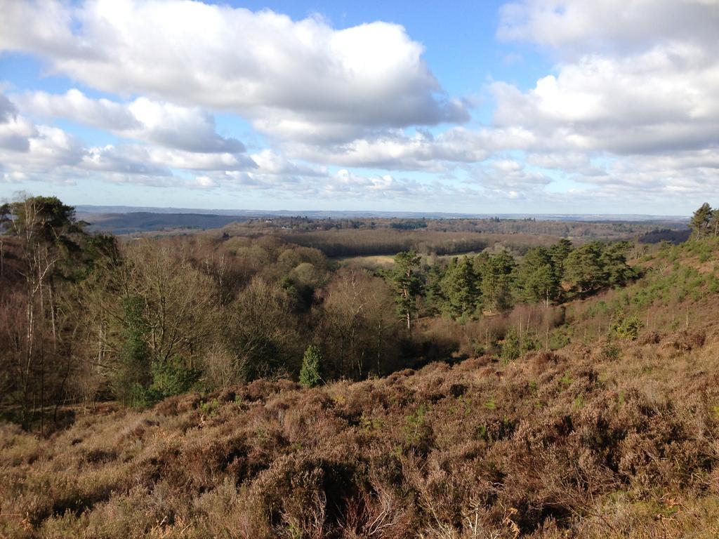 The Old Cook'S House Villa Hindhead Стая снимка